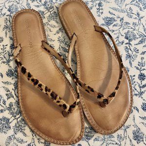 Antonio Melani Cheetah Sandals